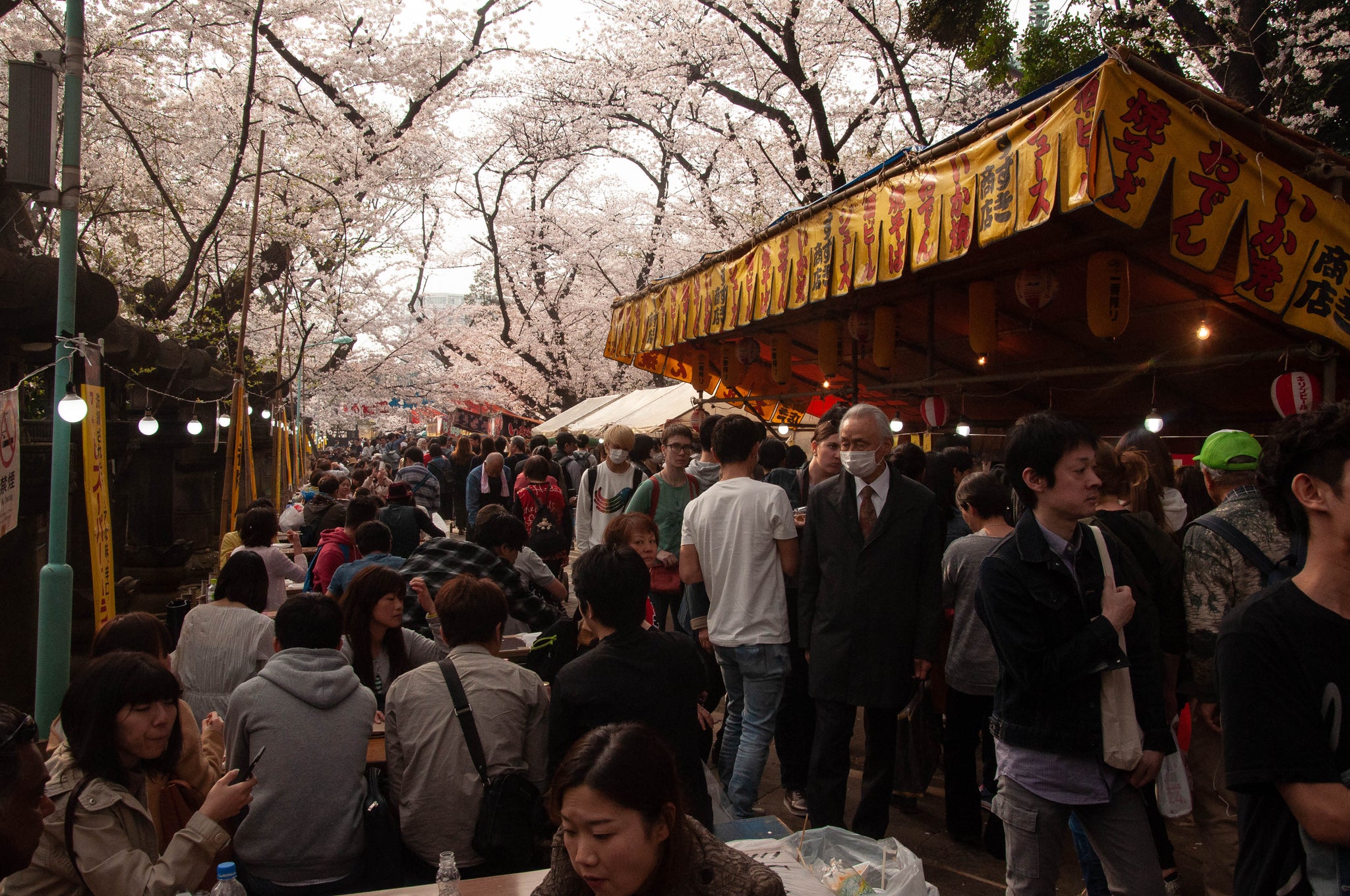 IN-TERIA Japan 2018