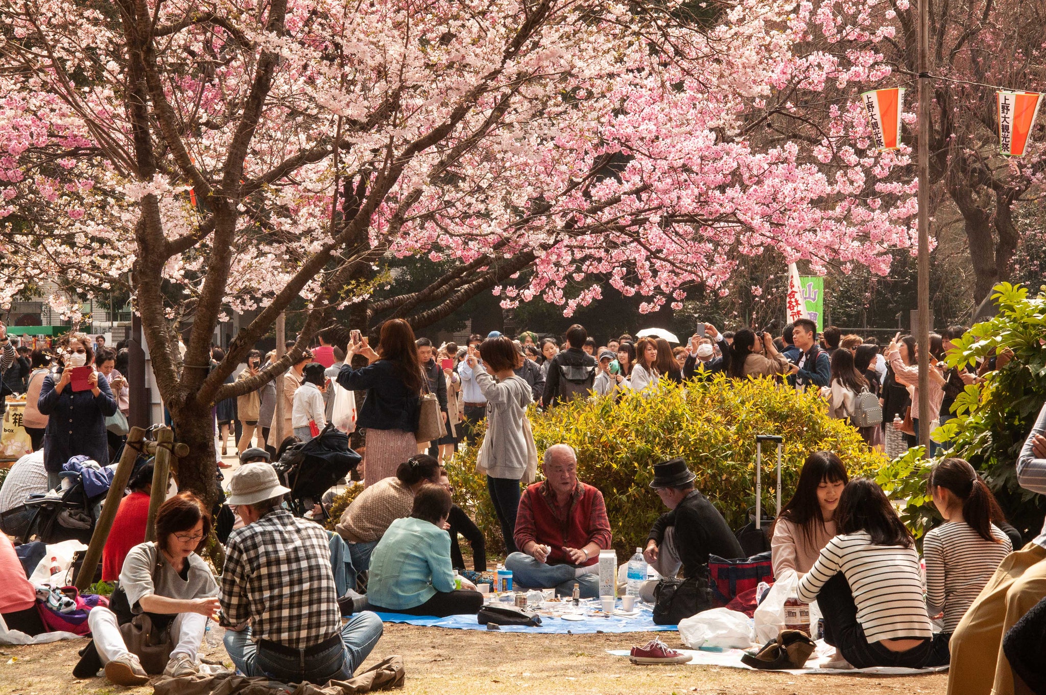 IN-TERIA Japan 2018