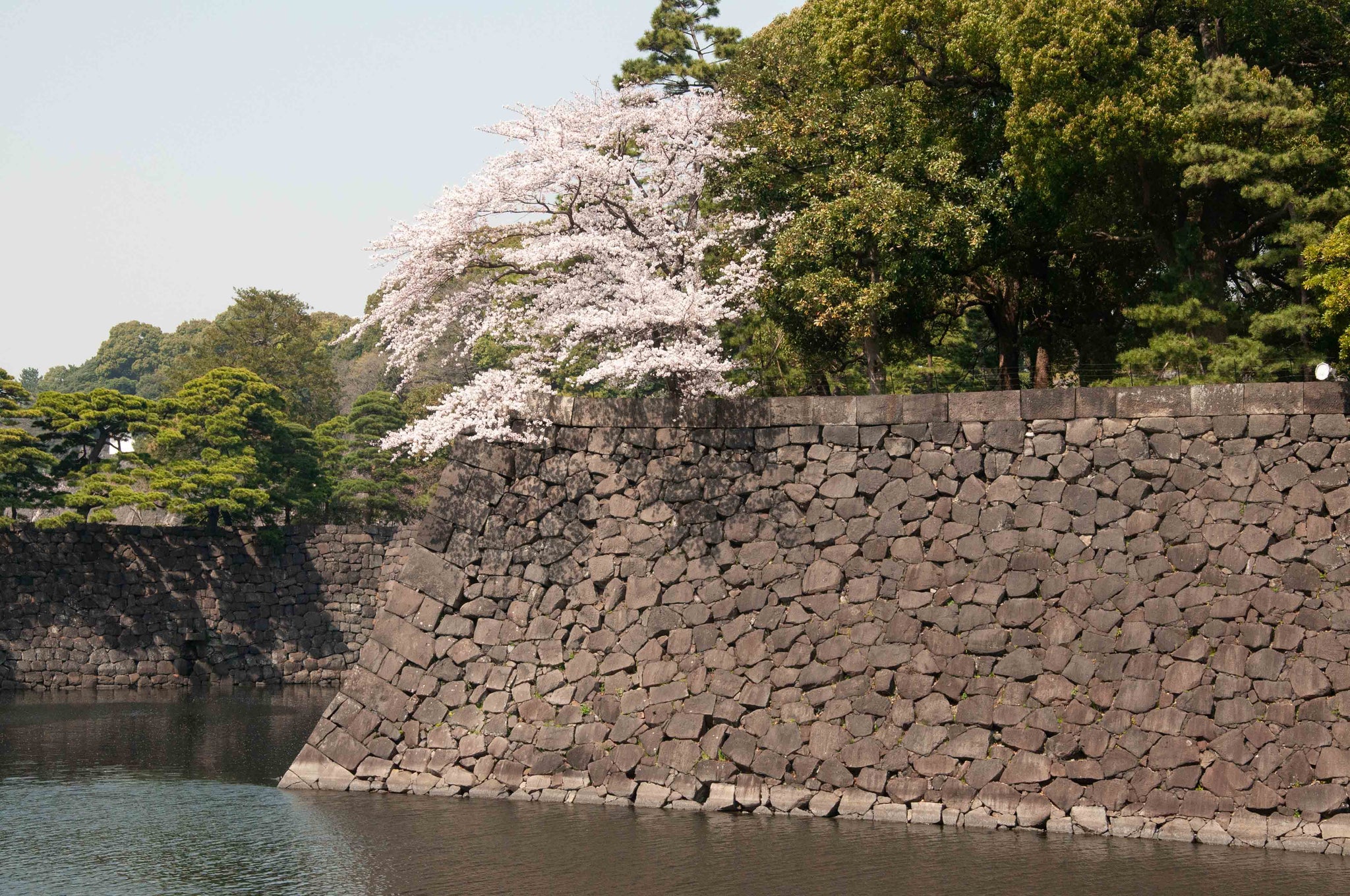 IN-TERIA in Japan 2018