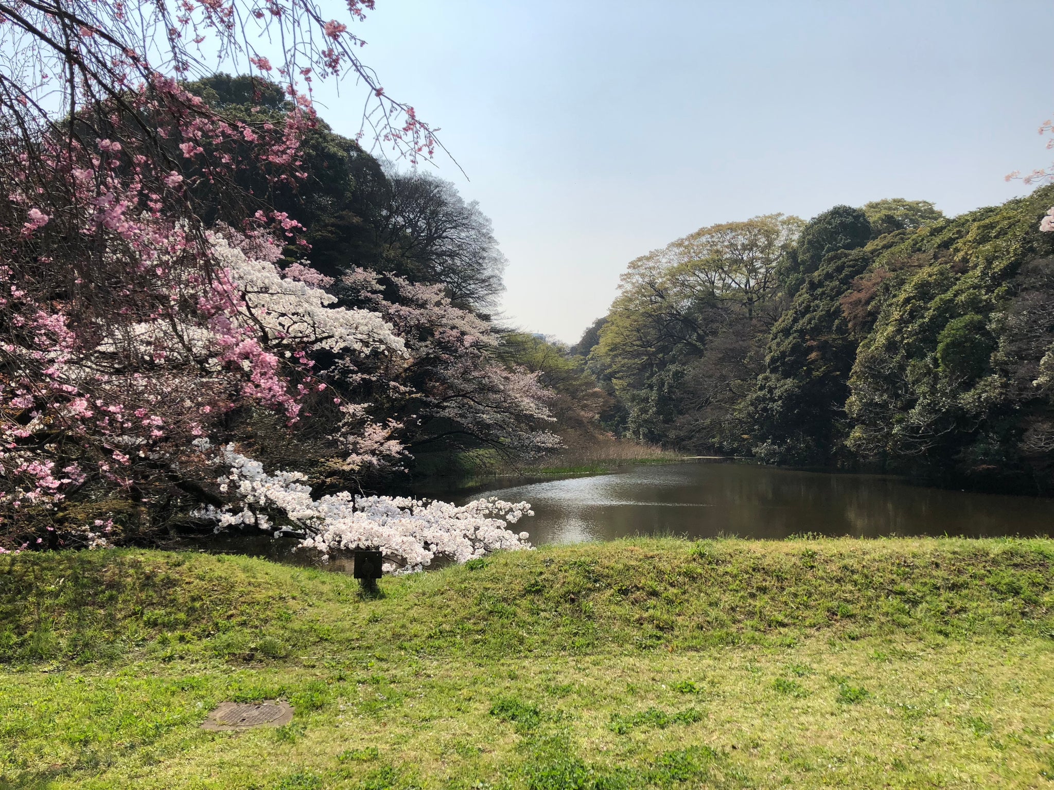 IN-TERIA in Japan 2018