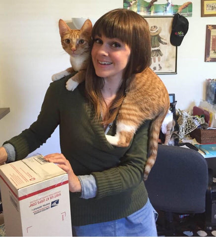 Shipping and packing post office with Orange Ginger Tabby Cat Online Retail Cats Lover Store