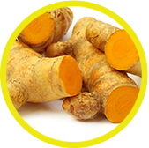 Turmeric (Curcuma Longa)