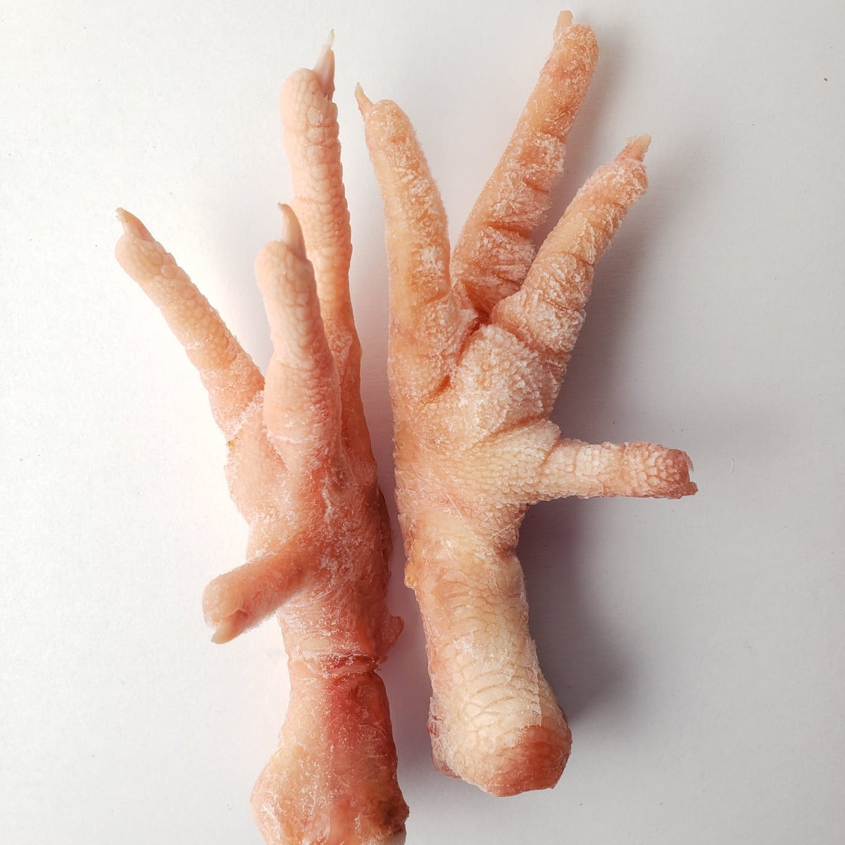 is raw chicken feet good for dogs