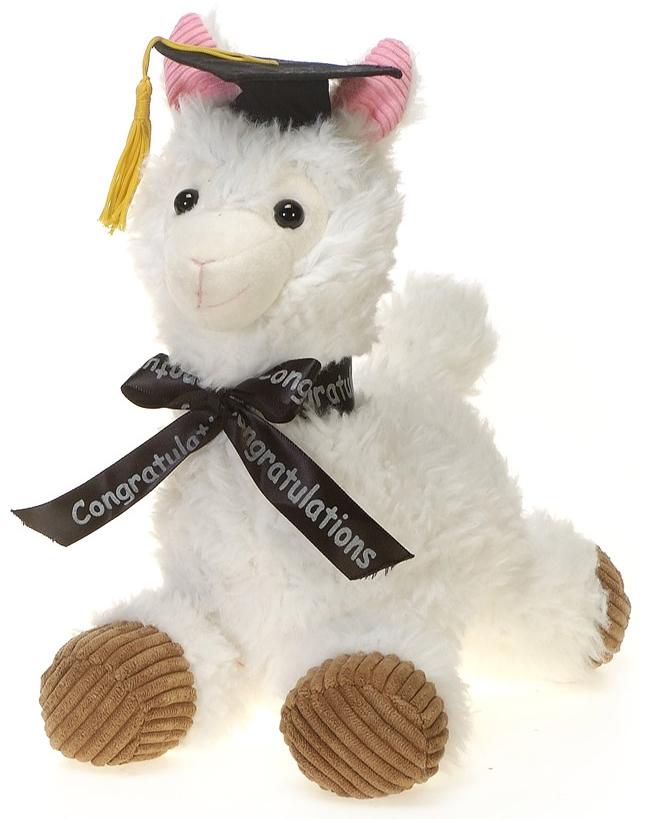 stuffed animal graduation cap