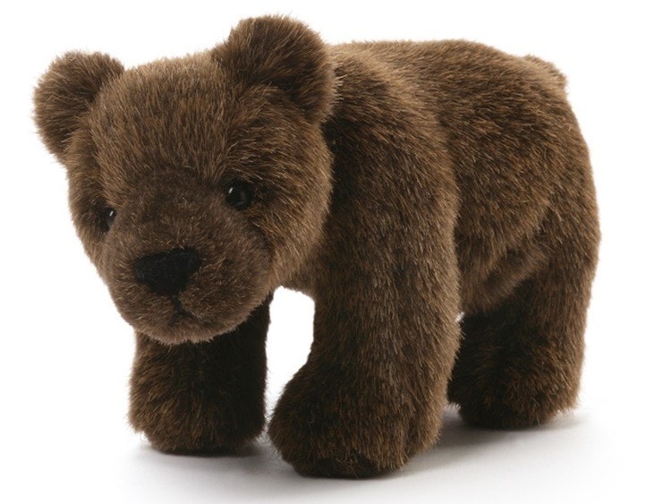 grizzly bear teddy