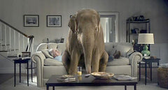 The first Spiriva elephant commercial featured two photographs by Keith Dotson