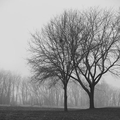 Stay Close, It's Cold This Morning, a black and white landscape photograph by Keith Dotson