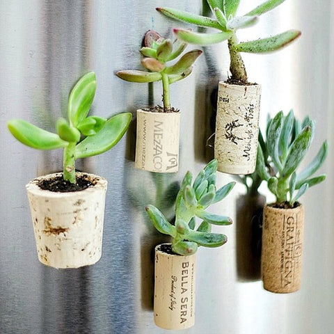 cork planters