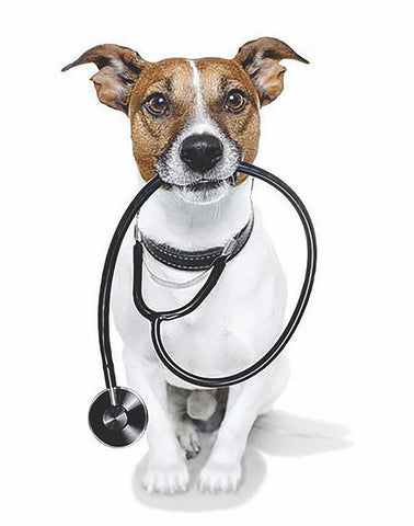 Doctor Raw Veterinarian Dog