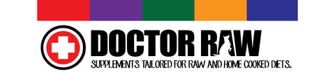 Doctor Raw Logo