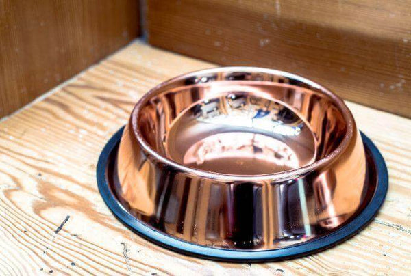 copper dog food container