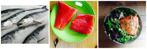 whole raw and cooked sockeye salmon collage