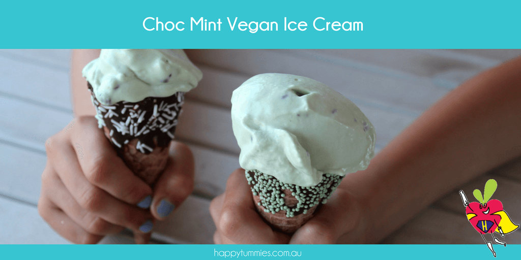 Choc Mint Vegan Ice Cream - Happy Tummies