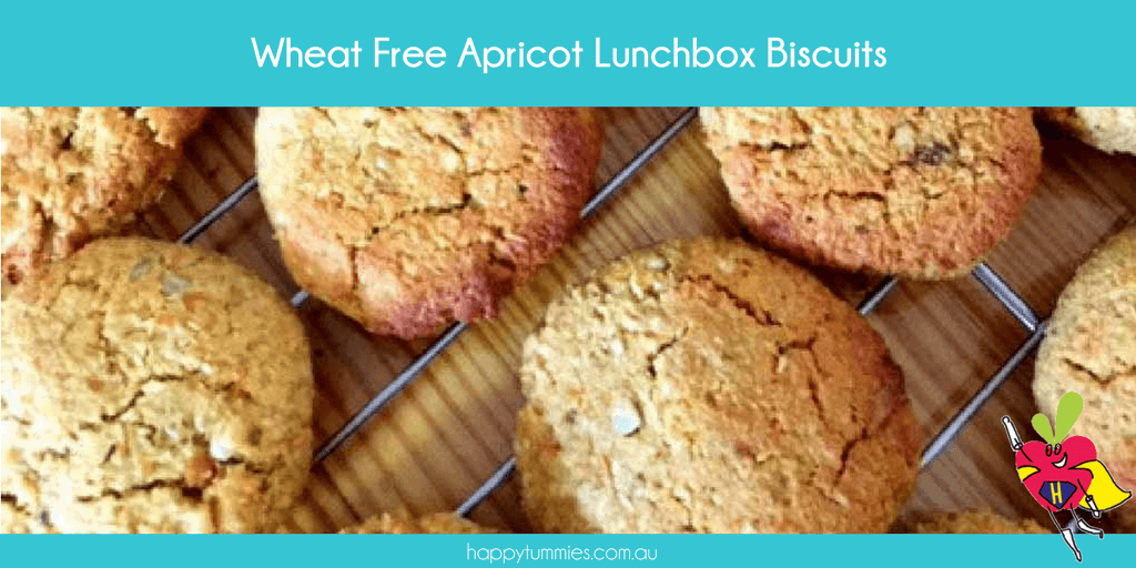 Wheat Free Apricot Biscuits - Happy Tummies