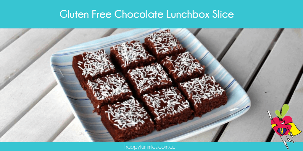Gluten Free Chocolate Lunchbox Slice - Happy Tummies