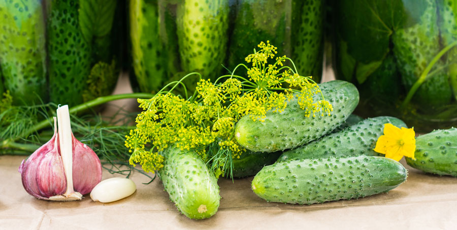 Fermented Vs Canned Pickles