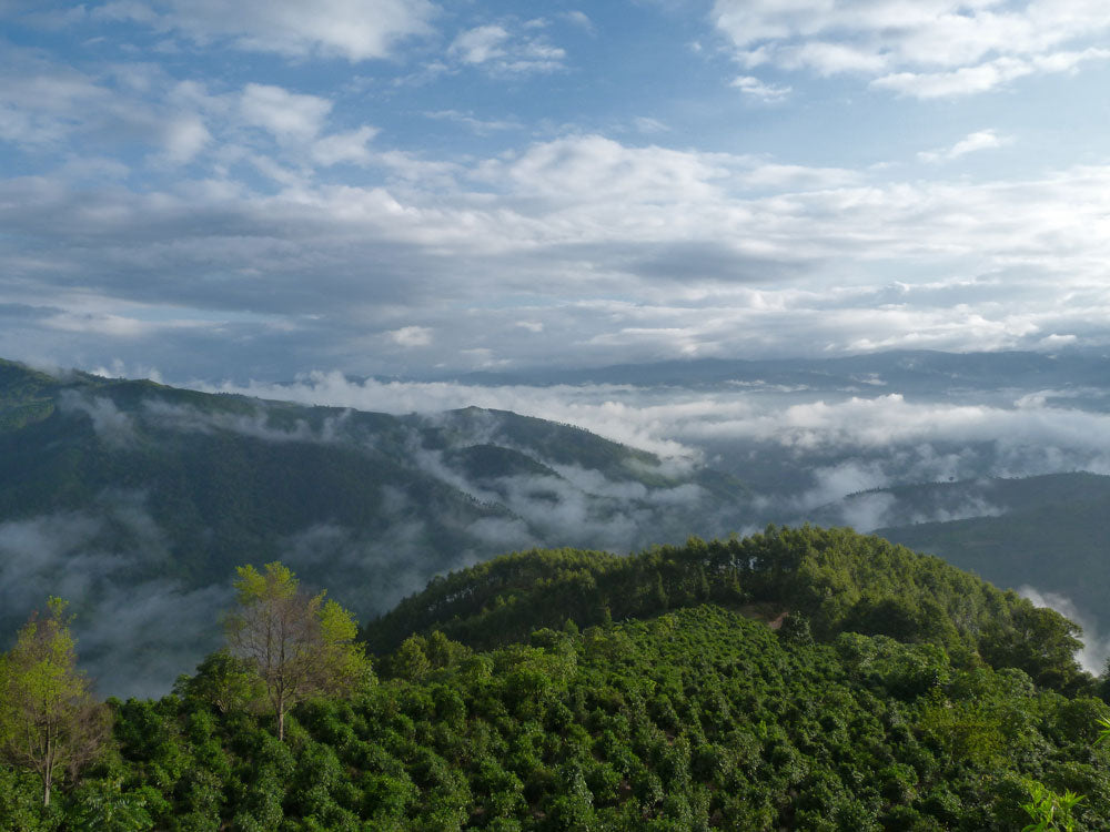 View of the mountains of Yunnan Province from Jingmai Mountain