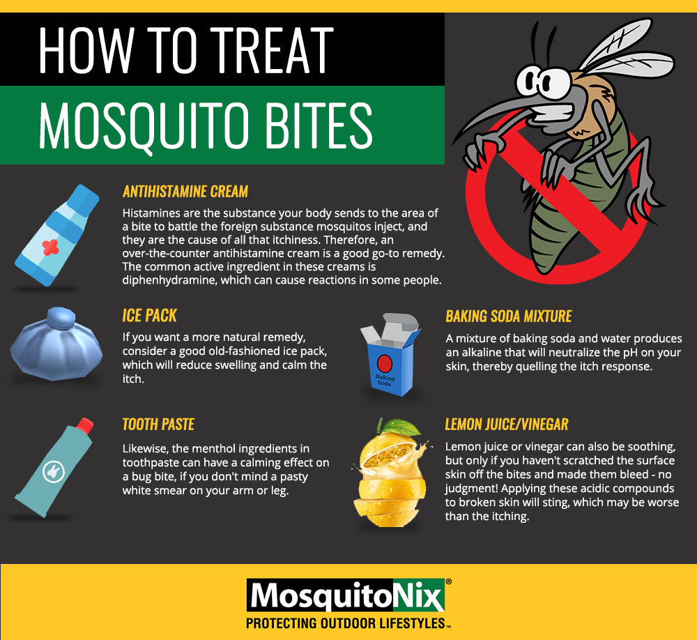 Cleveland Clinic How To Relieve Itching Mosquito Bites