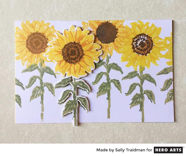 Sunflowers by Sally Traidman for Hero Arts