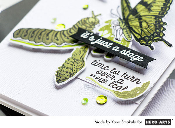  Color Layering Caterpillar Cards by Yana Smakula for Hero Arts