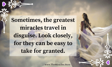 "Sometimes the greatest miracles travel in disguise. Look closely, for they can be easy to take for granted."