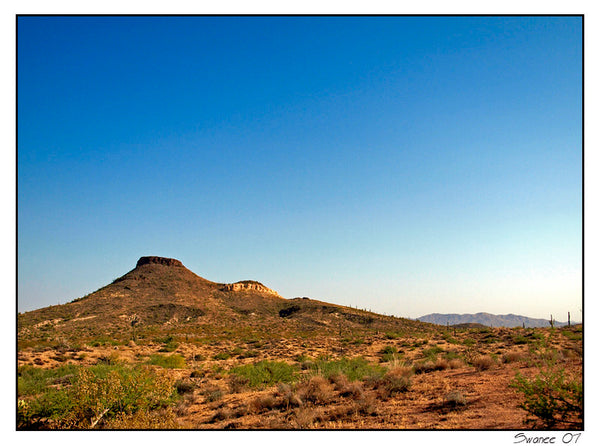 Paul Swanson, Desert Tones, 2007