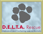 Delta Rescue