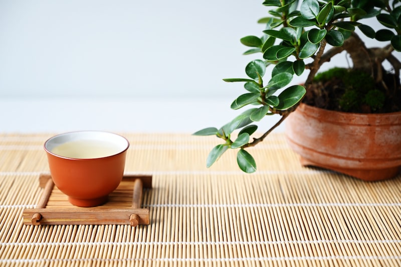 Green tea can pair well with many foods
