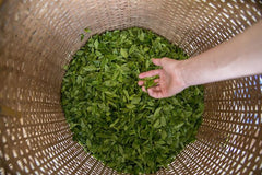 Green Tea Wooden basket