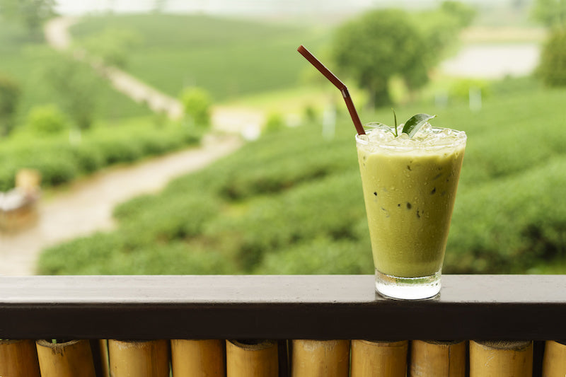 Cold brew matcha is a delicious and refreshing drink