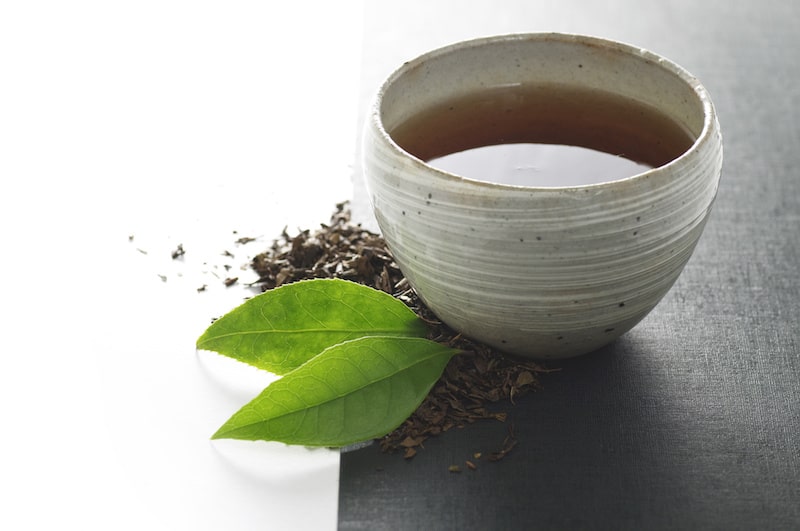 There is a lot to know about Japanese Hojicha green tea
