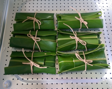 Mochi wrapped in shell ginger leaves