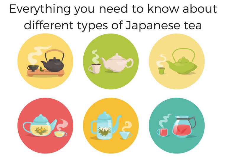 EVERYTHING YOU NEED TO KNOW ABOUT DIFFERENT TYPES OF JAPANESE TEA