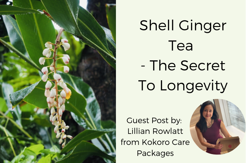 Shell ginger tea- the secret to longevity