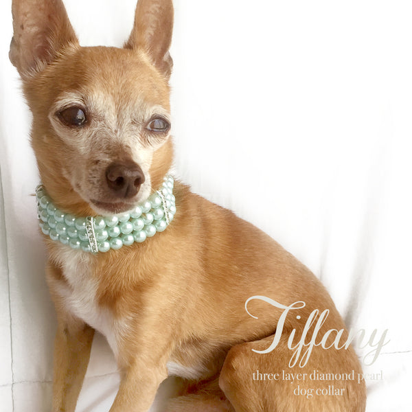 tiffany collar for dogs