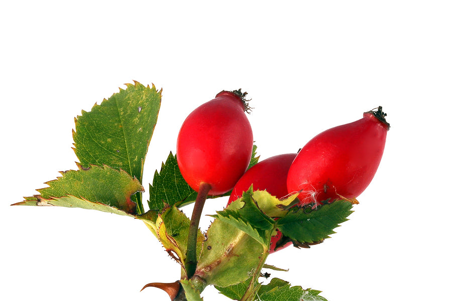 Benefits of Rosehip Seed Oil for Skin and Hair
