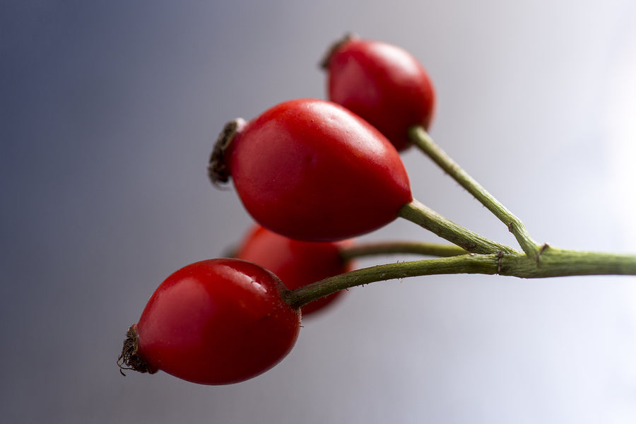 benefits of rosehip oil for skin and hair lupus