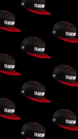 Haul-Apparel-Snapback-Black-Cap-left-fist-hip-hop-headwear-shits-legit-nothingtraditional-graphic-tee-printed-designs-discount-sale-