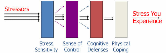 How Stress Sensitivity Works