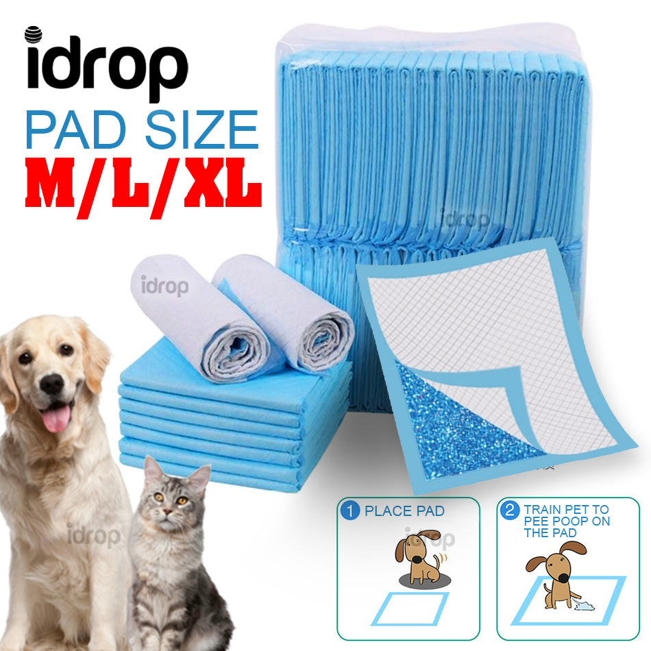 how do you train a dog to poop on a pad