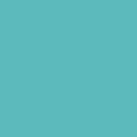 Superior Paper | Back Paper Alpine 2.75m