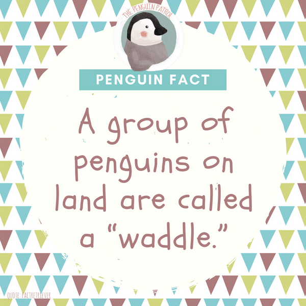 Penguin Fact - Waddle