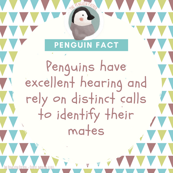 Penguin Fact