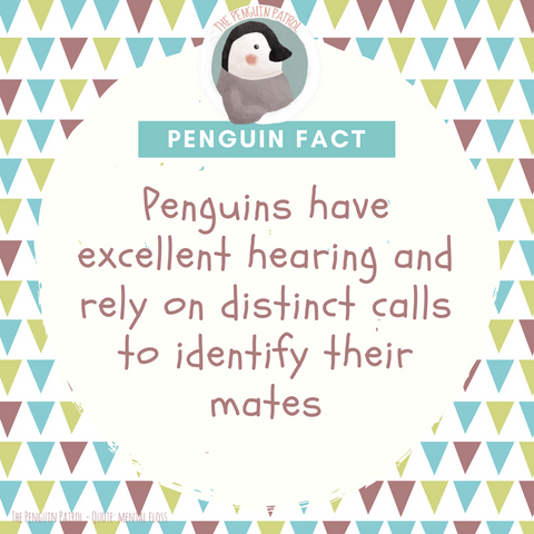 Penguin Fact - They Have Excellent Hearing