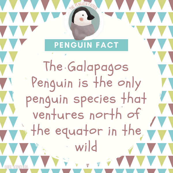 Penguin Fact