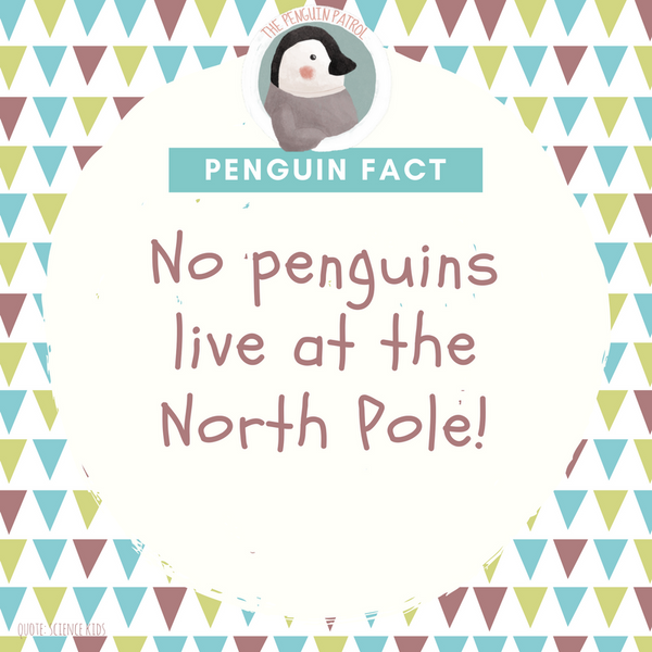 Penguin Fact