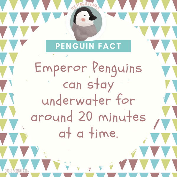 Penguin Fact - 20 Mins Underwater