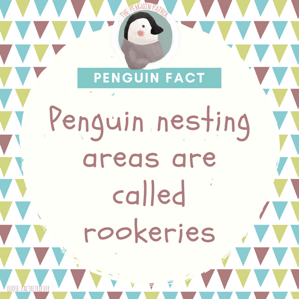 Penguin Fact - Rookeries are Penguin Nesting Areas