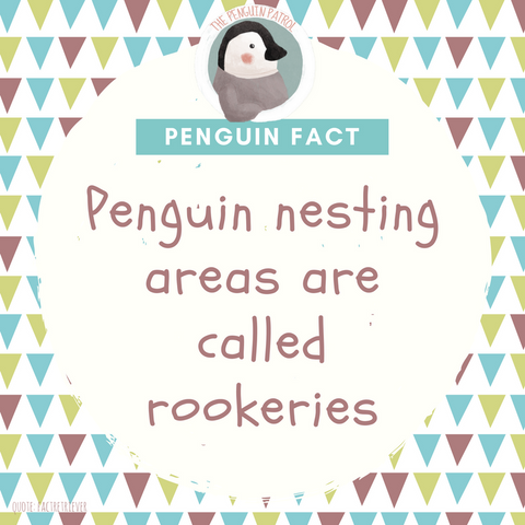 Penguin Fact - Their Nesting Areas are called Rookeries