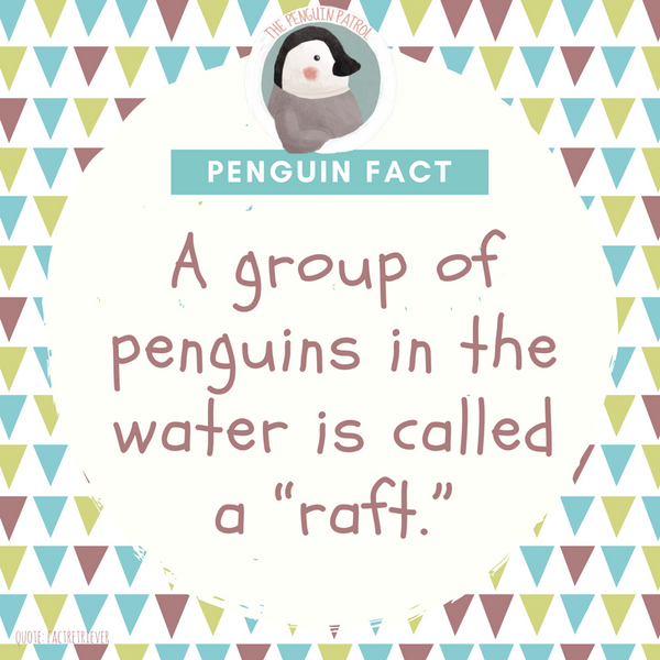 Penguin Fact - Raft